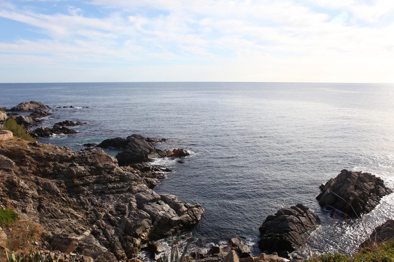 Ancora Palamós