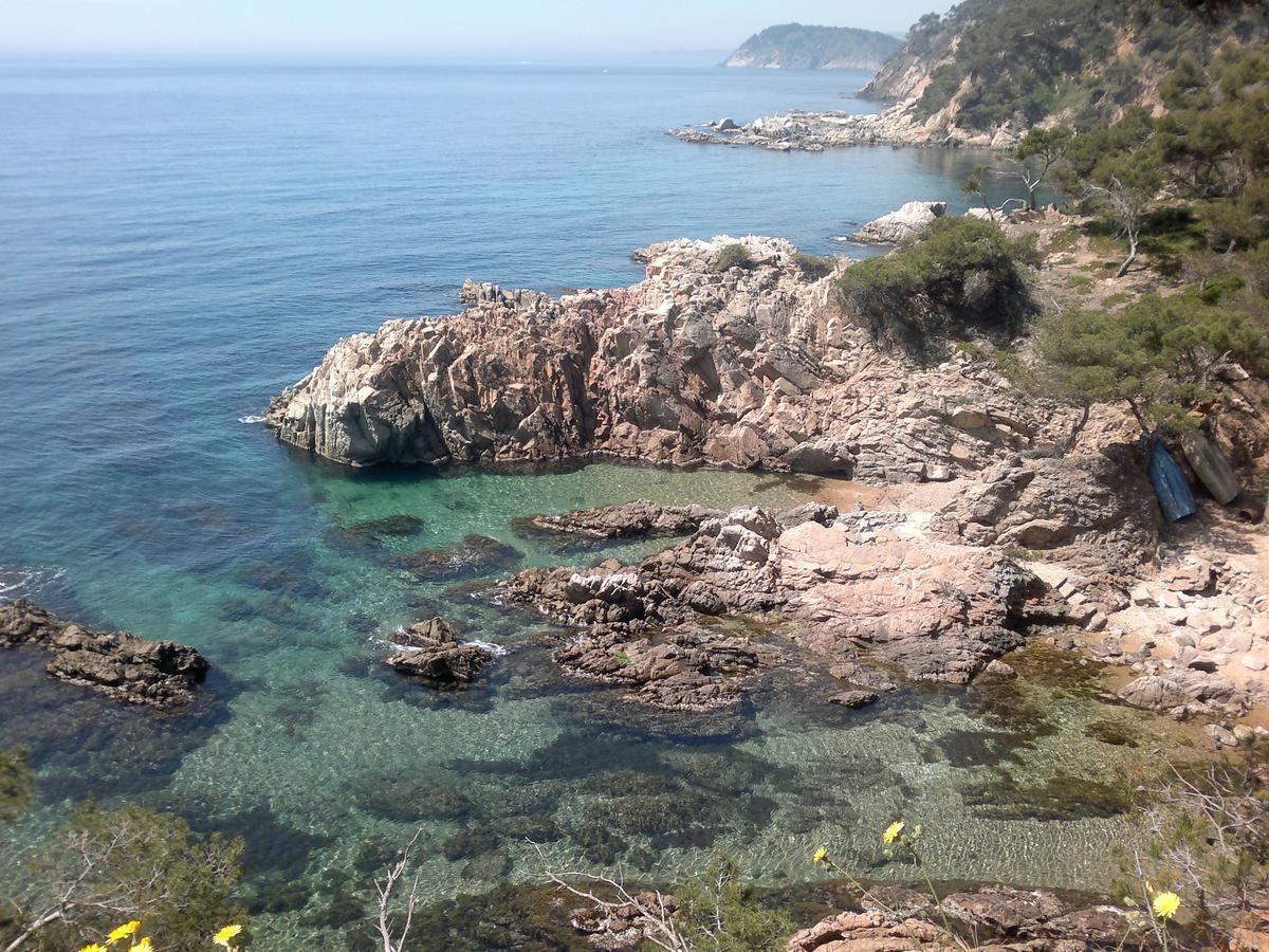 Hotel Ancora 3*